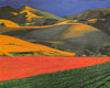 Napa Countryside - Original Art