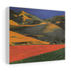 Napa Countryside Print on Canvas Gallery Wraps